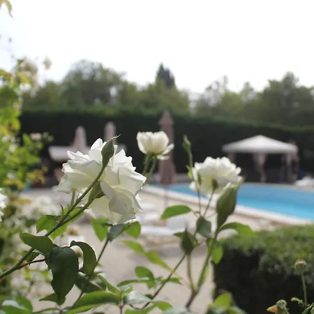 شقة 1-bedroom With Pool & Free Parking, 300 M To The بوموري